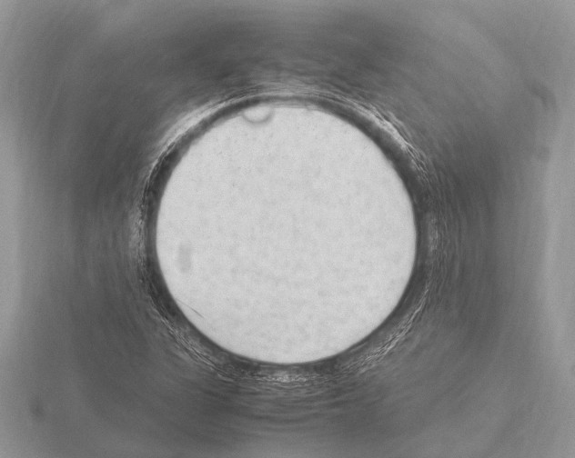 X0000115341311200912141231