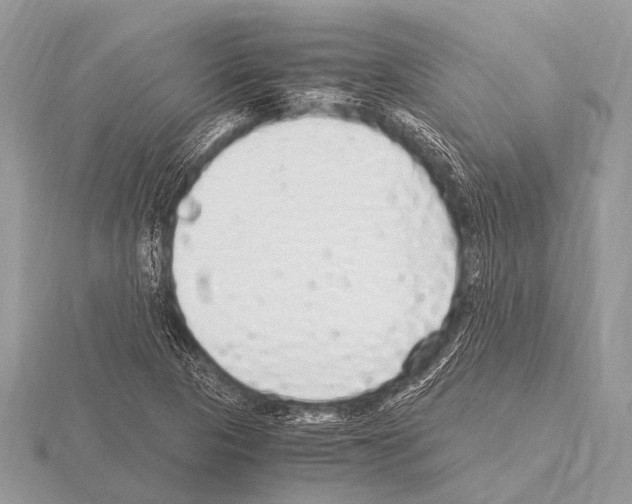 X0000115341313200912141231