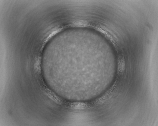 X0000115341314200912141231