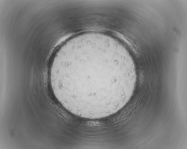 X0000115341315200912141231