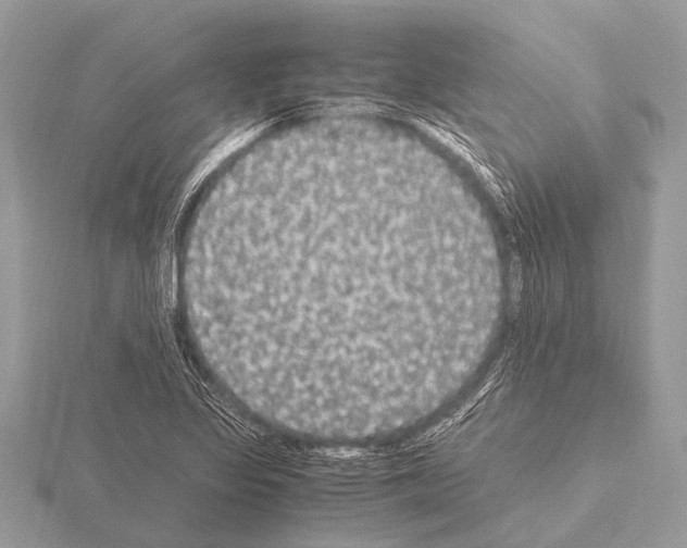 X0000115341317200912141231