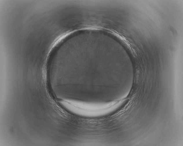 X0000115341319200912141231