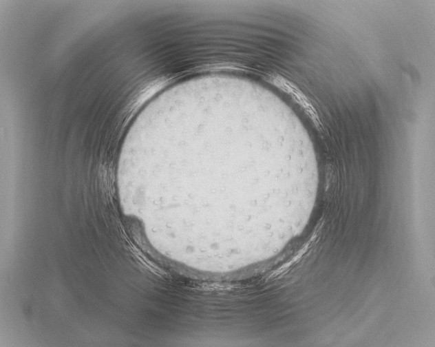 X0000115341321200912141231