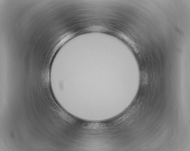 X0000115341322200912141231