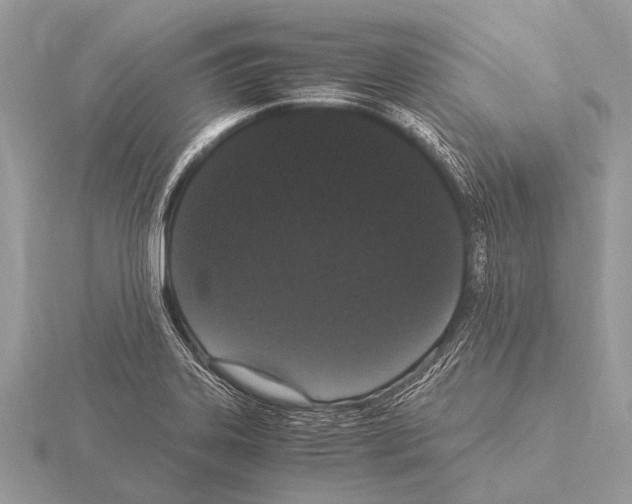 X0000115341323200912141231