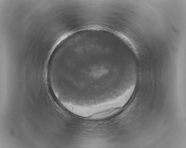 X0000115341326200912141231