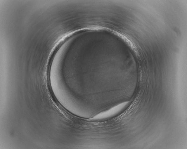 X0000115341327200912141231