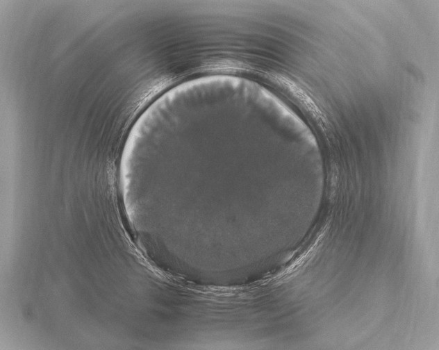 X0000115341329200912141231