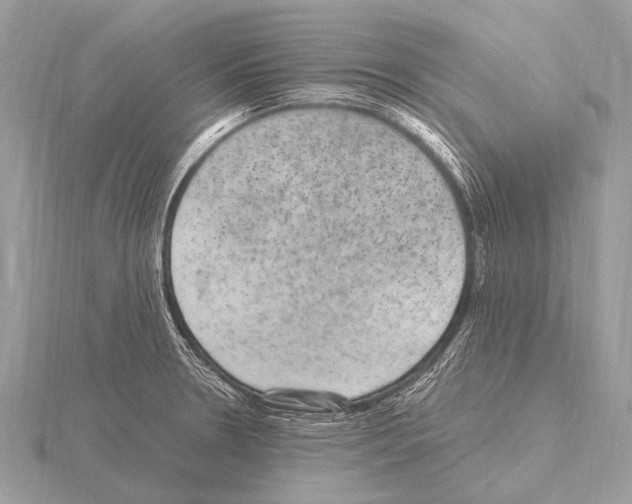 X0000115341330200912141231