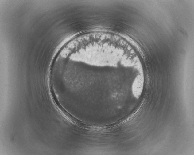 X0000115341333200912141232