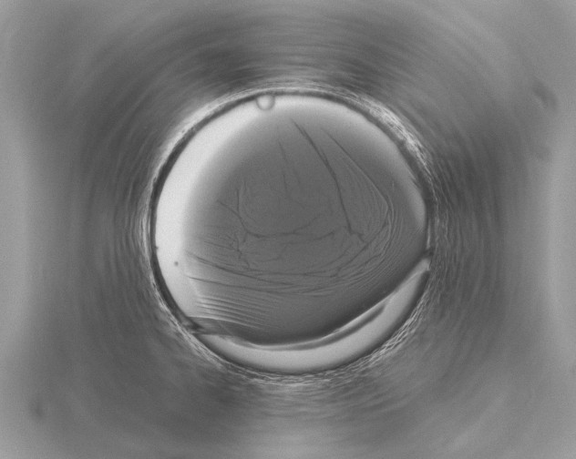 X0000115341334200912141232