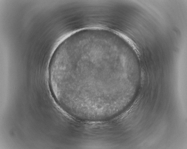 X0000115341335200912141232