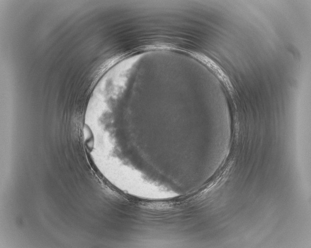 X0000115341337200912141232