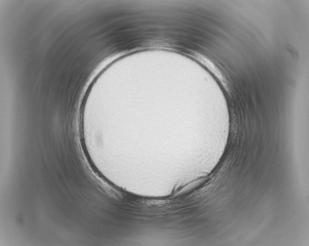 X0000115341339200912141232