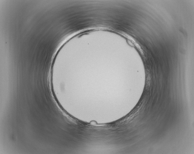 X0000115341343200912141232