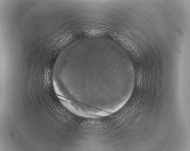 X0000115341346200912141231