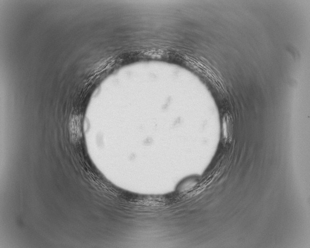 X0000115341347200912141231