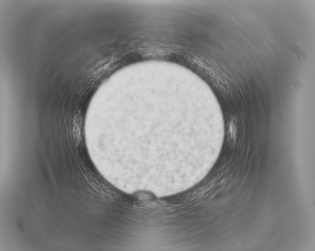 X0000115341348200912141231