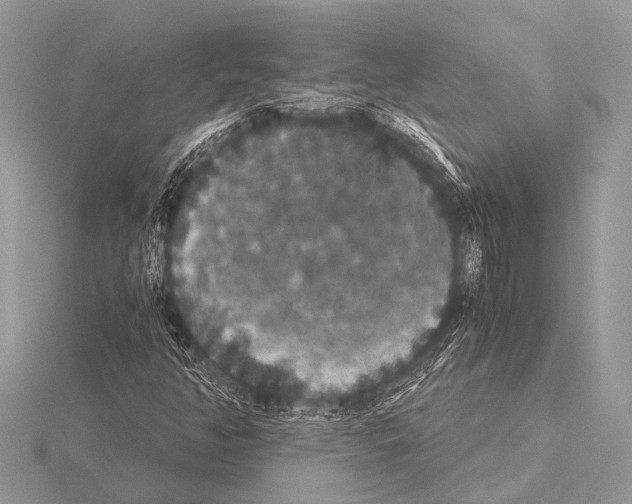 X0000115341350200912141231