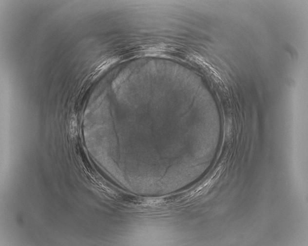 X0000115341353200912141231