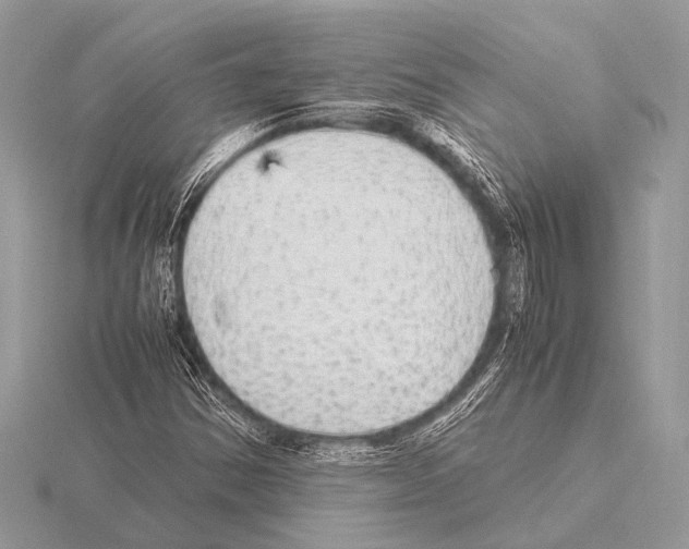 X0000115341354200912141231