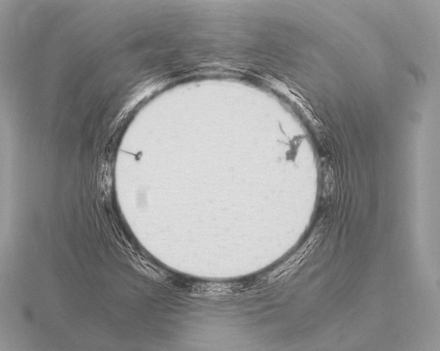 X0000115341355200912141231