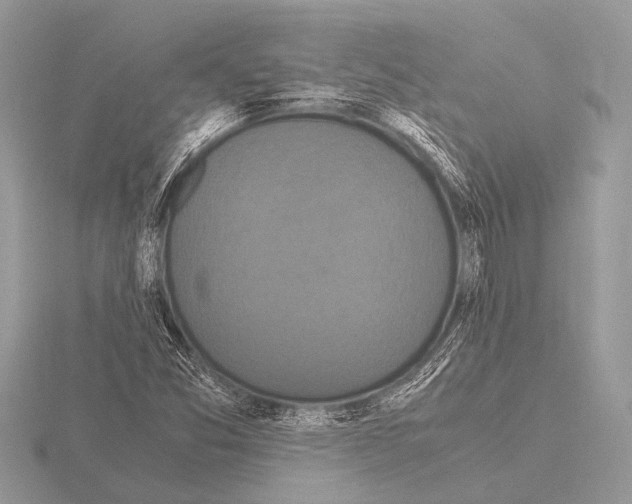 X0000115341357200912141231