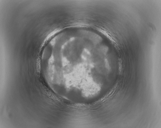 X0000115341358200912141231