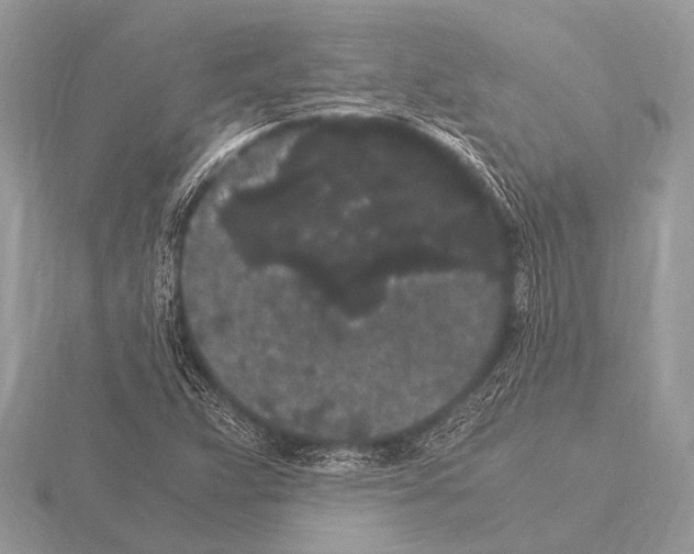 X0000115341359200912141231