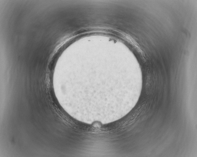 X0000115341360200912141231