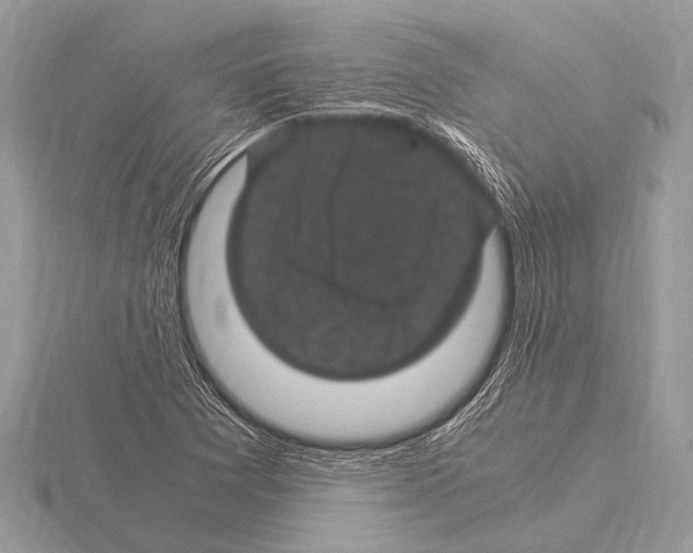 X0000115341361200912141231