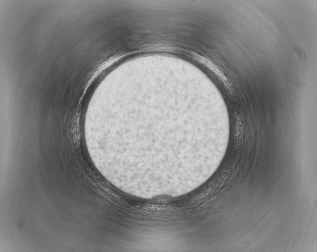 X0000115341364200912141231