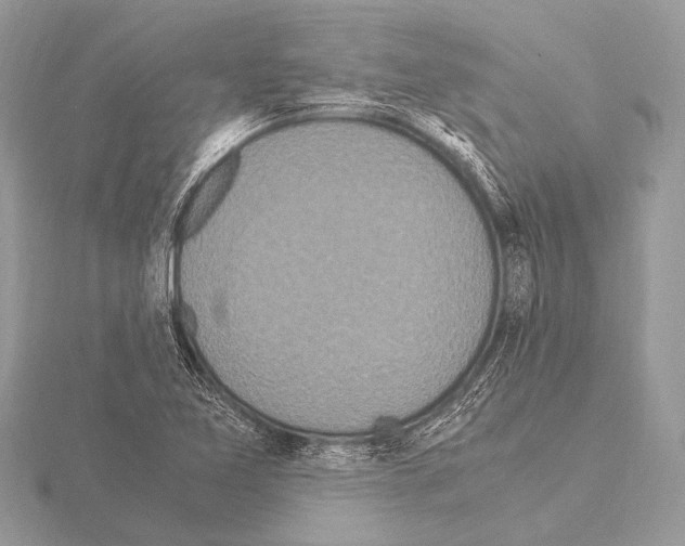 X0000115341365200912141231