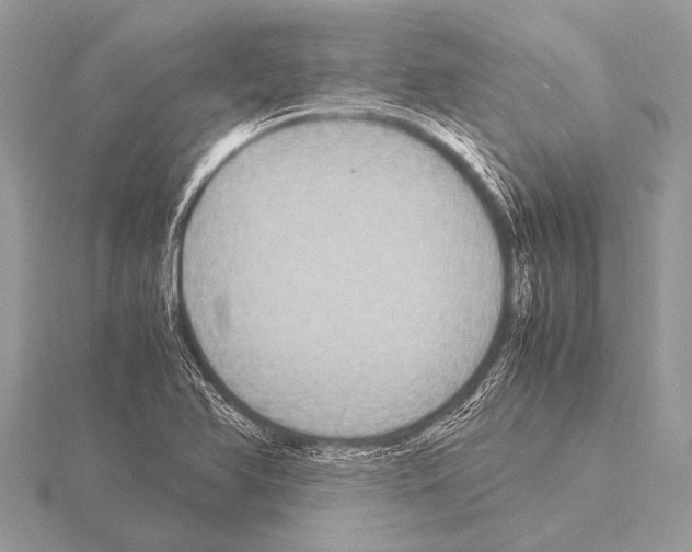 X0000115341366200912141231