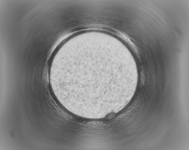 X0000115341368200912141231