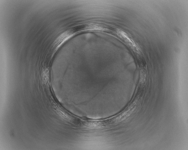 X0000115341369200912141231