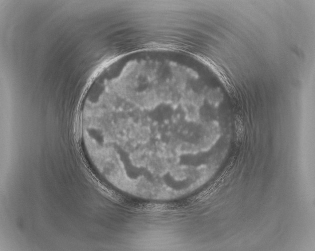 X0000115341371200912141231