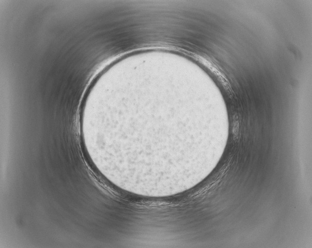 X0000115341372200912141231