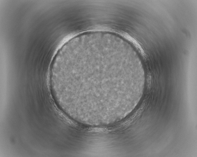 X0000115341374200912141231