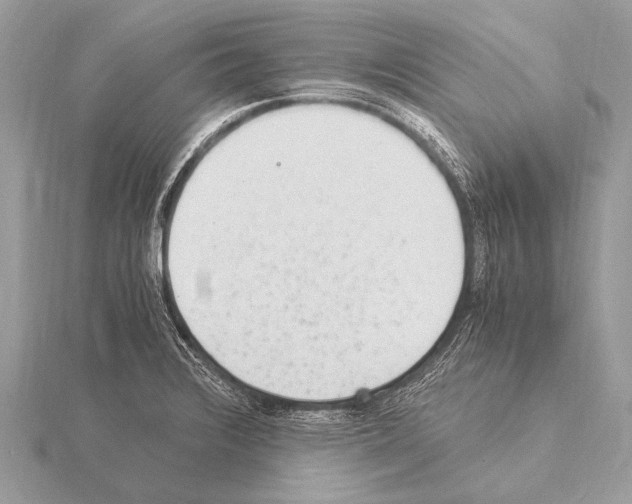 X0000115341376200912141231