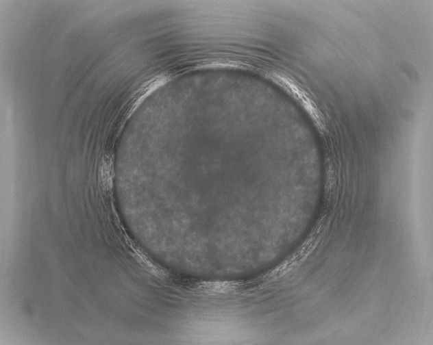 X0000115341377200912141231