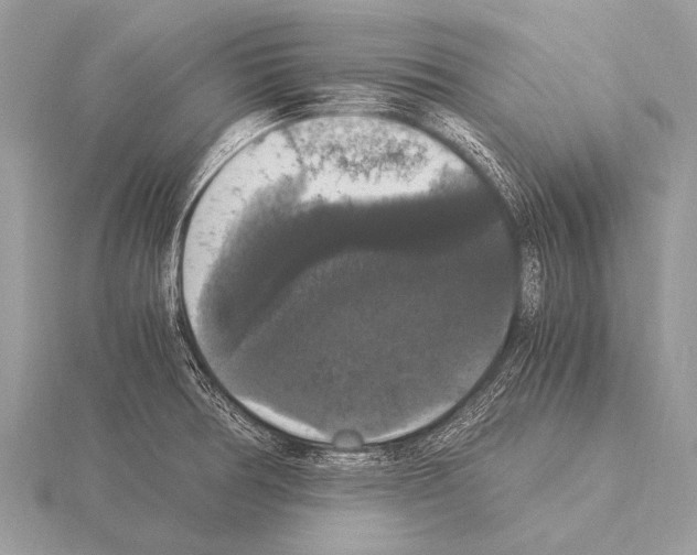 X0000115341378200912141231