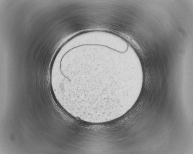 X0000115341380200912141231