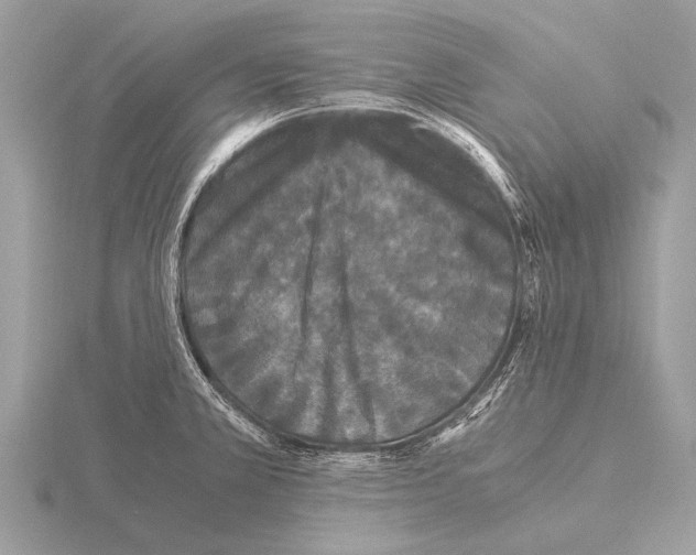 X0000115341381200912141231