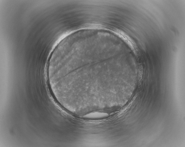 X0000115341382200912141231