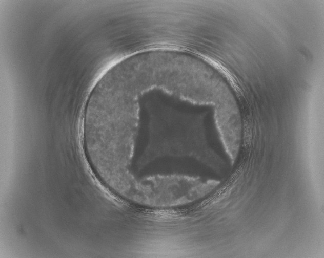 X0000115341383200912141231