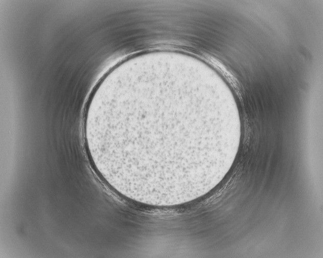 X0000115341384200912141231