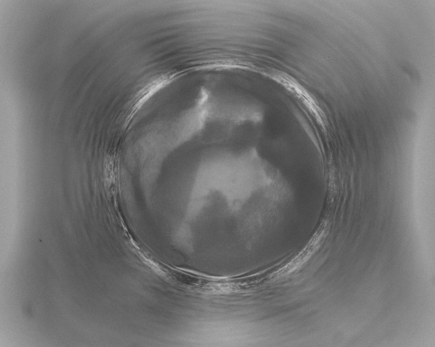 X0000115341385200912141231