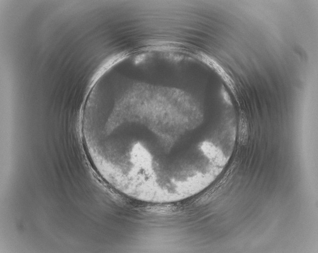 X0000115341386200912141231