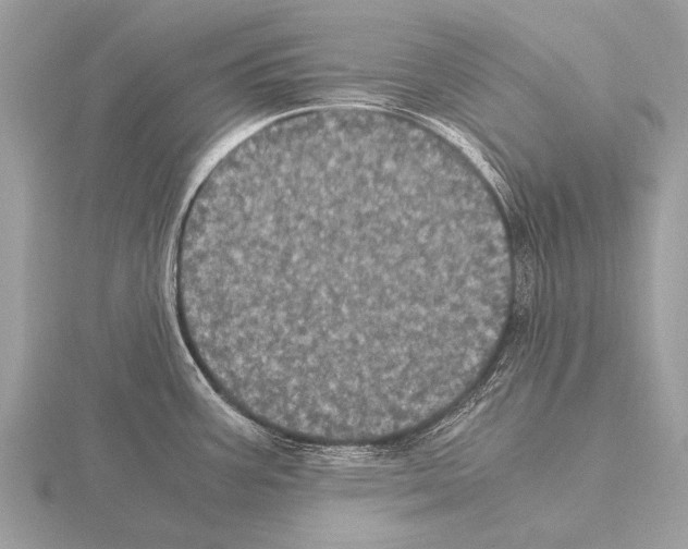 X0000115341387200912141230